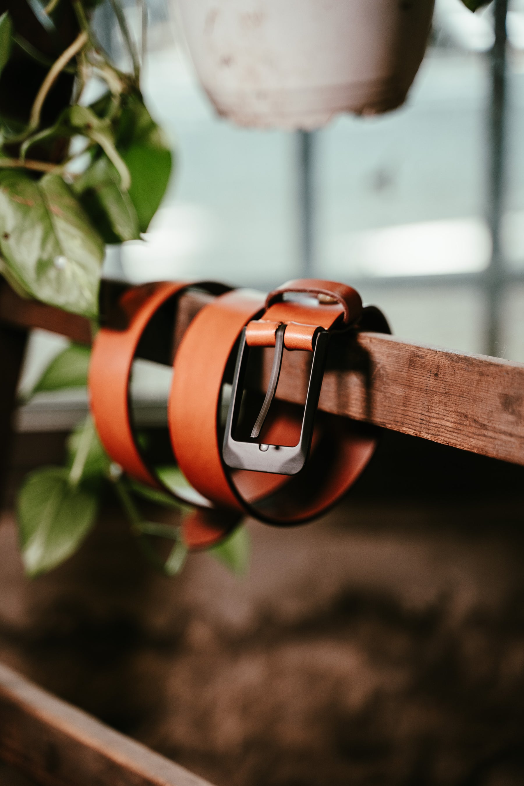 Photo d'une ceinture en cuir lisse enroulée autour d'une poutre de bois avec un arrière plan végétal.